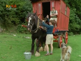Standbild: George nimmt dem Pony das Zaumzeug ab