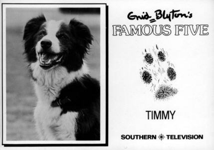 Autogrammkarte Timmy