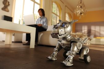 Szenenbild Allein zuhause: Millionrssohn Hardy (Kristo Ferkic) mit seinem Roboterhund Roby  2012 Constantin Film Verleih GmbH / Bernd Spauke